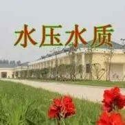 118论坛手机版App