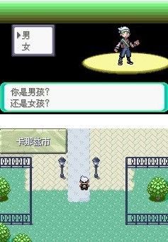 口袋妖怪究极绿宝石攻略大全 口袋妖怪究极绿宝石攻略图文解说图片2