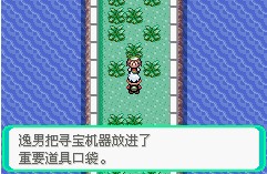 口袋妖怪究极绿宝石攻略大全 口袋妖怪究极绿宝石攻略图文解说图片4
