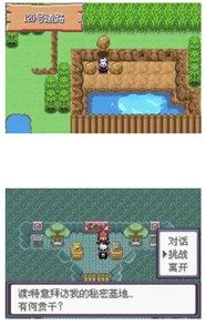 口袋妖怪漆黑的魅影二周目攻略 漆黑的魅影二周目全流程图片5