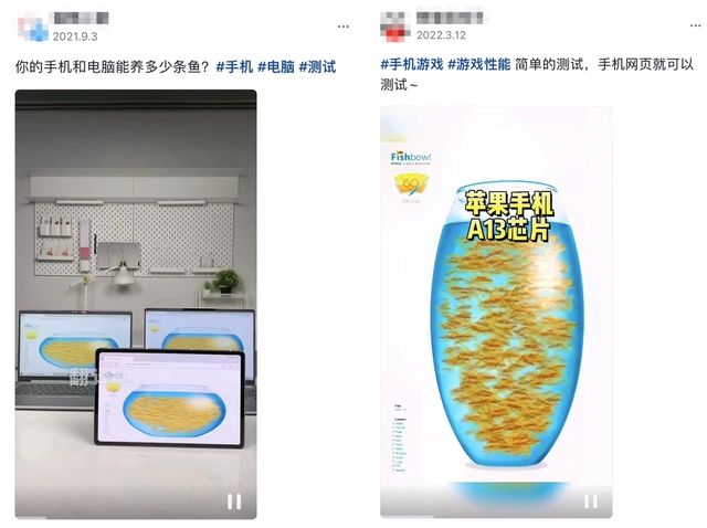 fishbowl手机测试网址入口 fishbowl鱼缸测试网站链接图片1