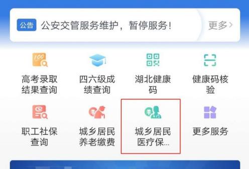 鄂汇办怎么代缴医疗保险 2024代缴看医生的医疗保险方法图片1