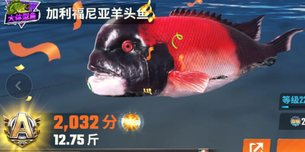 欢乐钓鱼大师鱼类图鉴大全 全部种类的鱼图鉴一览图片15