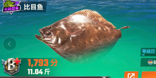 欢乐钓鱼大师鱼类图鉴大全 全部种类的鱼图鉴一览图片11