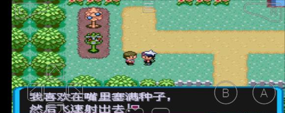 口袋妖怪增强绿宝石攻略 游戏攻略图文流程详细图片47