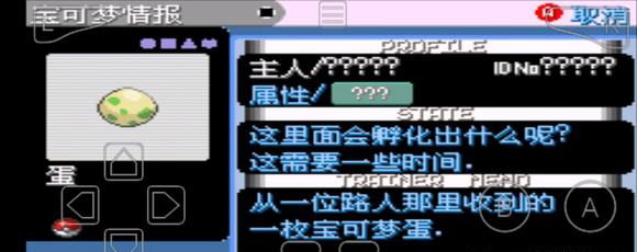 口袋妖怪增强绿宝石攻略 游戏攻略图文流程详细图片68