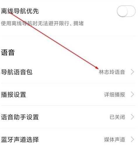 高德地图语音包怎么设置步骤 明星导航语音包设置方法图片3