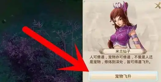 问道手游宠物飞升方法 宠物飞升攻略[多图]图片3