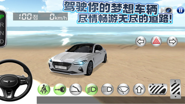 3D驾驶模拟器下载安装最新安卓版 v30.1截图2