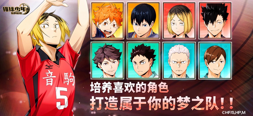 排球少年新的征程官方国服最新版图1:wq