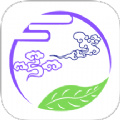 汀圆源手机装修管理工具APP v1.0