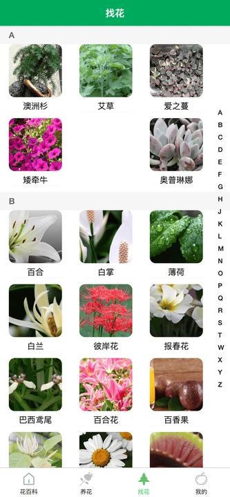 小绿植物APP图3