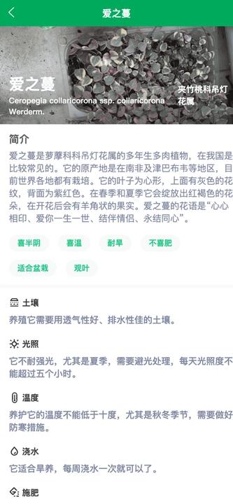 小绿植物APP图2