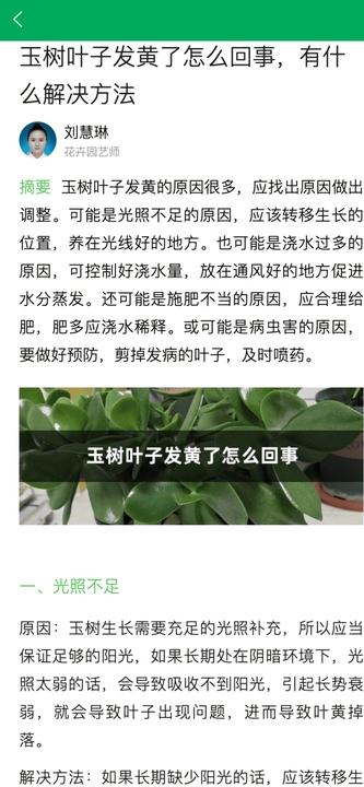 小绿植物软件最新版图片1