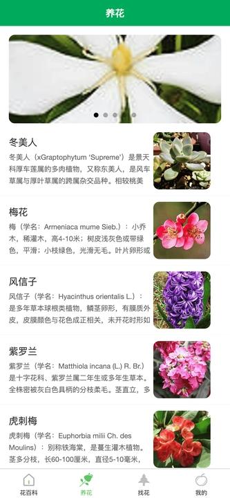 小绿植物软件最新版图片2