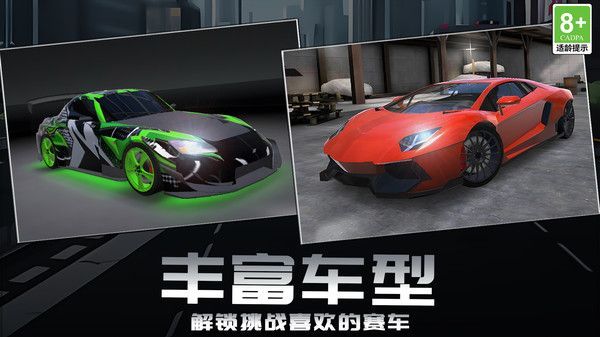 赛道狂野王者手机版图3