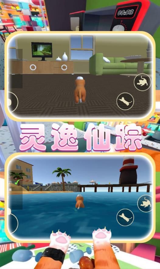 猫猫奇妙冒险最新版图1