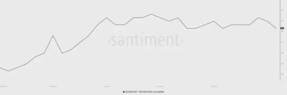 ada��2025�����ǵ�����  ada��δ��ǰ���۸�Ԥ��