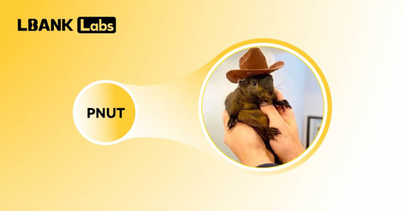 meme币有哪些   2025年十大最有潜力的meme币盘点[多图]图片14