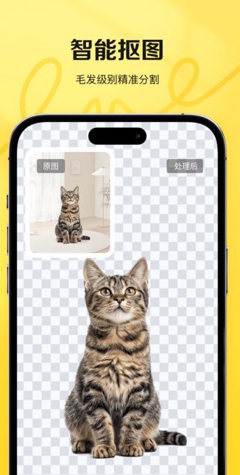 喵图匠最新手机版下载图3: