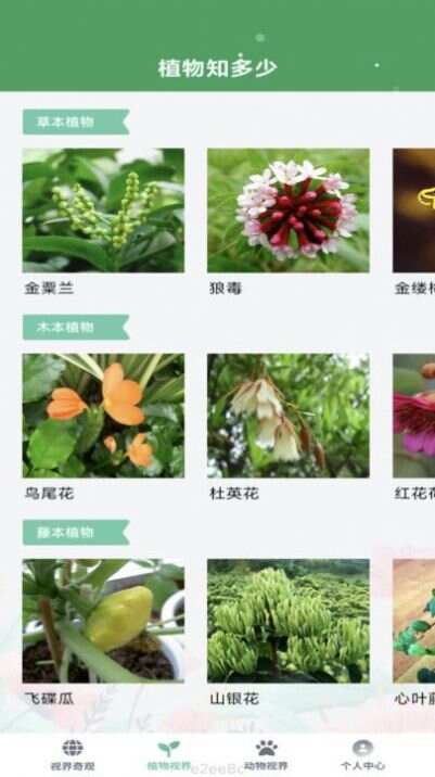 缤纷视界app手机版图1: