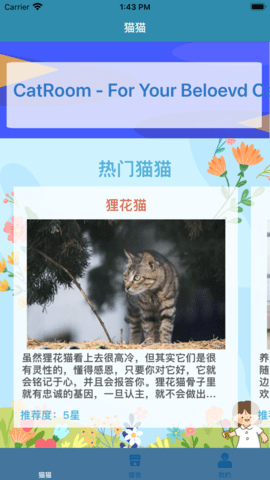 CatRoom影视app免费版图2: