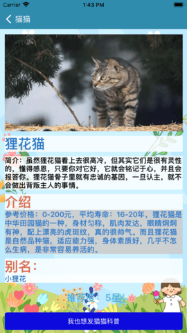 CatRoom影视app免费版图3: