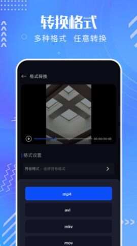 红叶影频播放器免费版app图2: