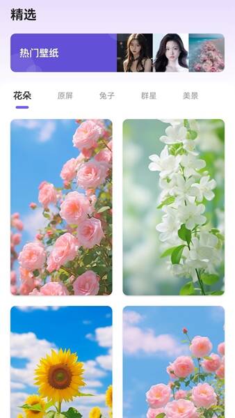 馏馏桌面组件王app免费版图1:css