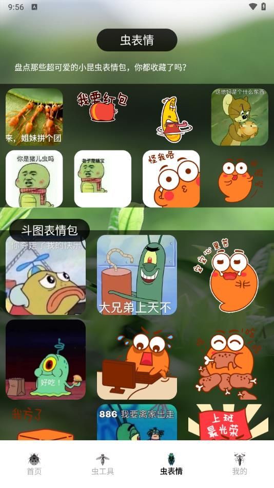虫助手大师app手机版图3: