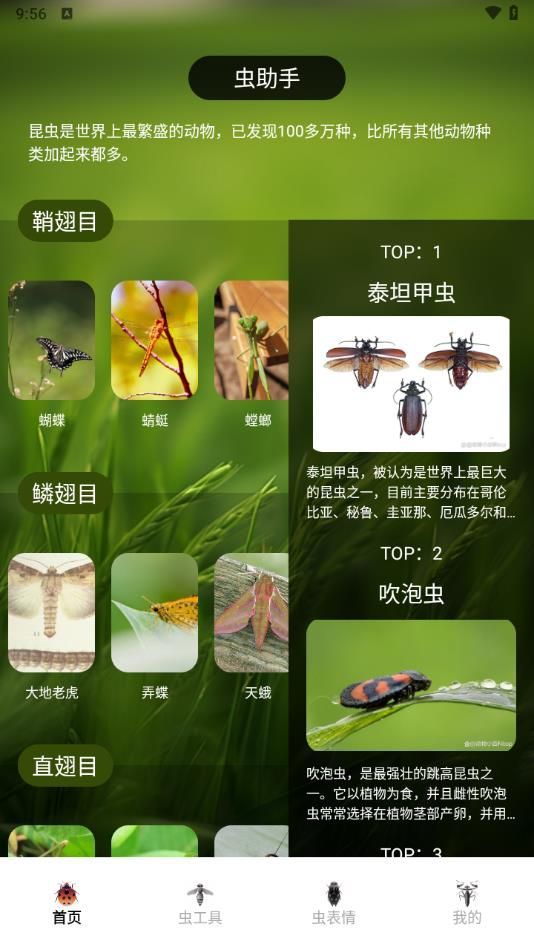 虫助手大师app手机版图片1
