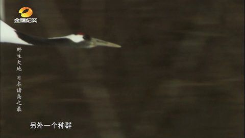 新情女幽魂TV电视最新版图片1