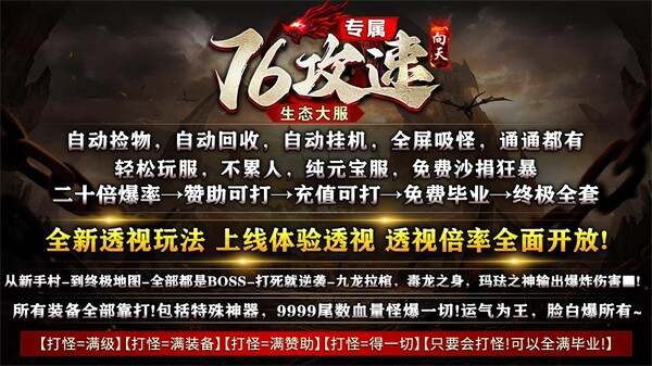 向天76攻速专属手游最新正式版图1:dengj