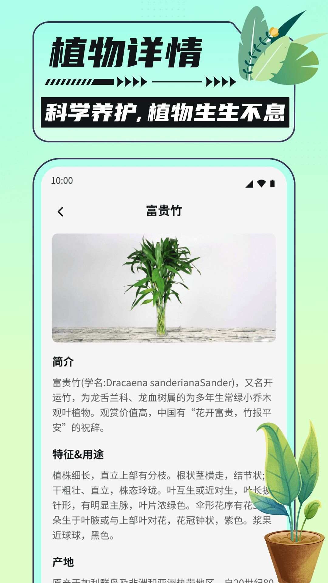 银杏助手大字版app官方版图1: