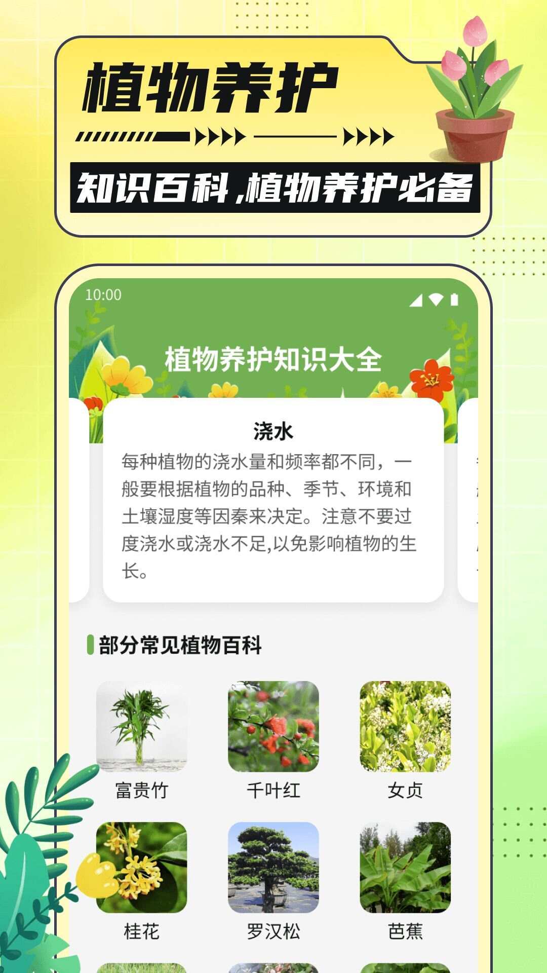 银杏助手大字版app官方版图2: