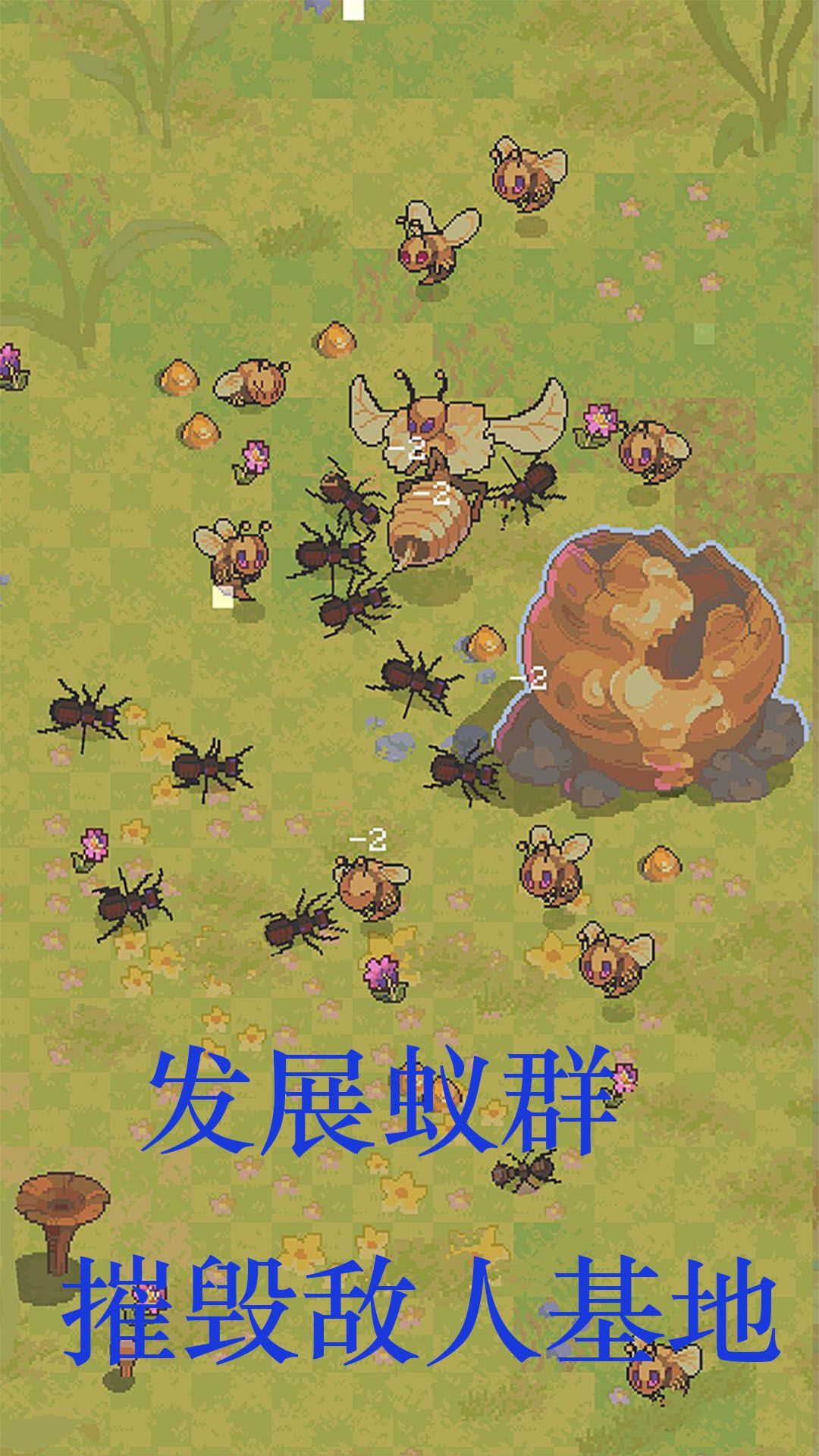 蚂蚁王国崛起安卓版图2