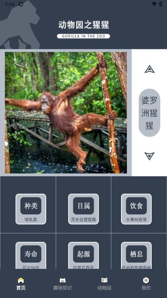 畸形动物园大全app官方版图3: