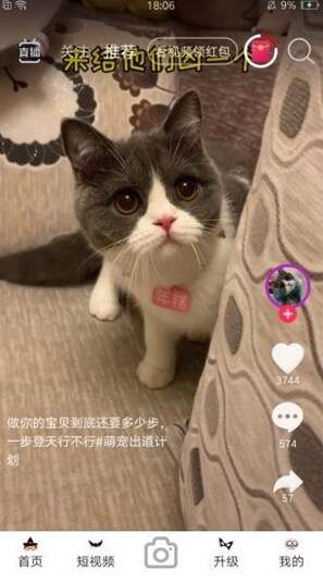 暖暖视频APP免费最新版图1:yjk