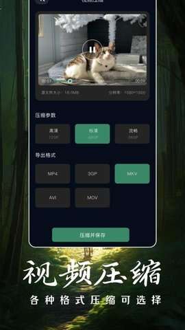 白玉视频播放器app最新版图1:css