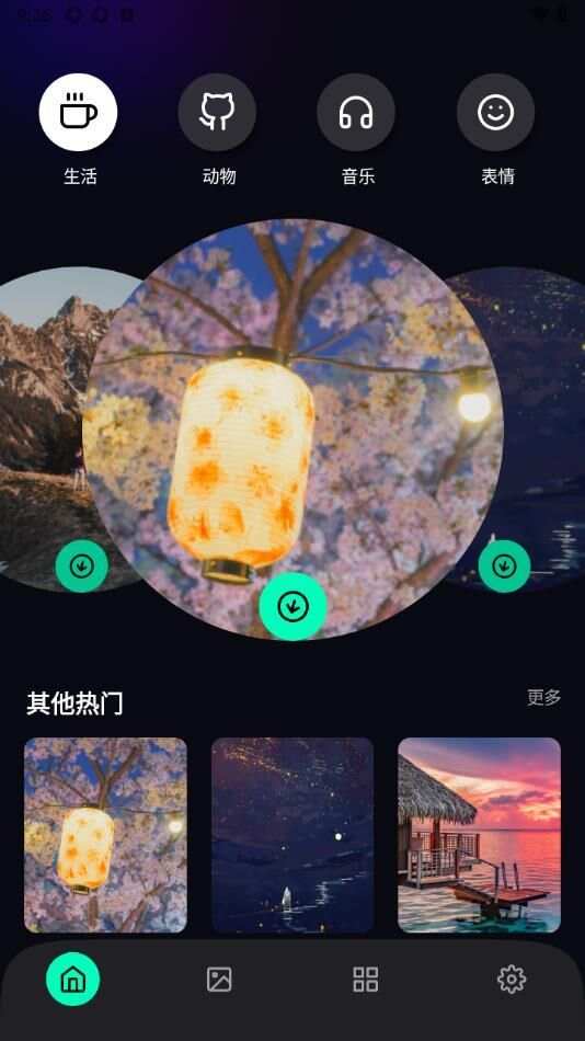 拣爱壁纸app手机版图2: