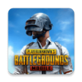 pubg地铁逃生(国际服)手游下载正版