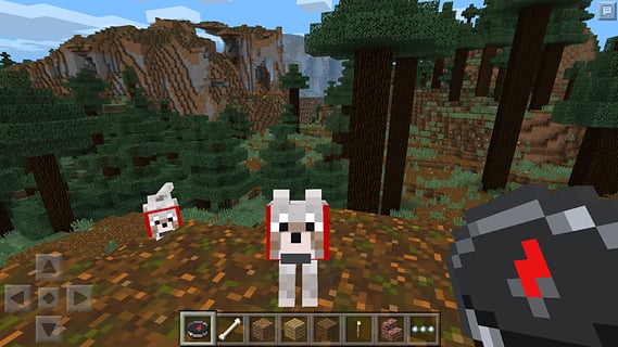 我的世界国际版1.14图2
