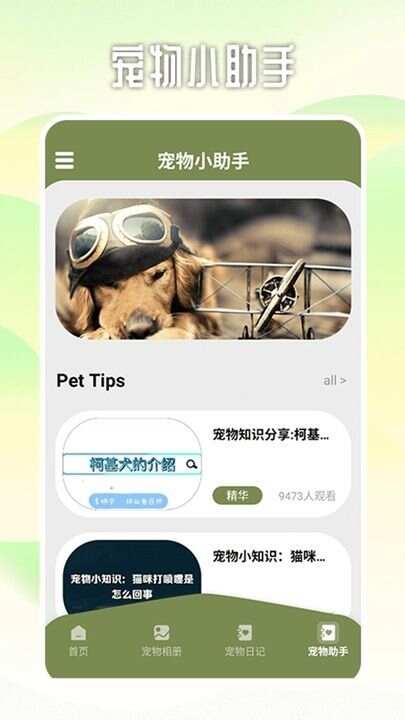 爱游猫助手app安卓版图1: