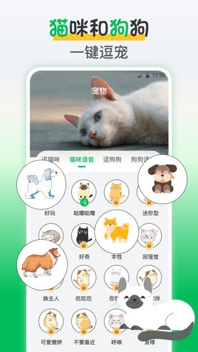 鸟语交流器app最新版图3: