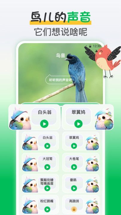 鸟语交流器app最新版图片1