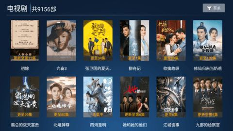 永红TV软件免费版图3: