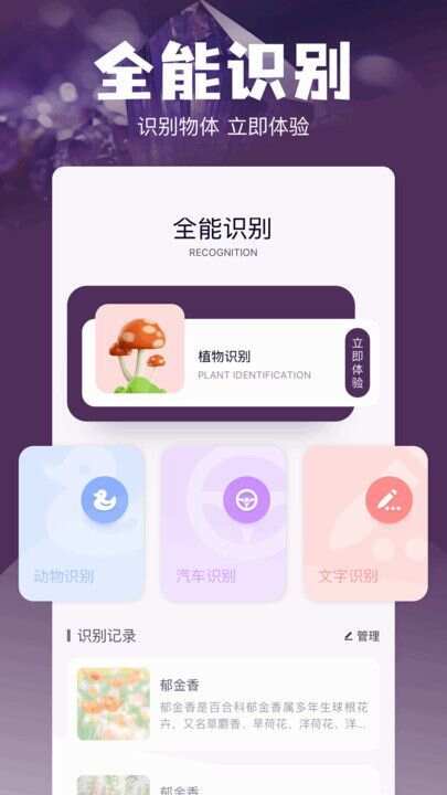 Magi工具箱app手机版图1: