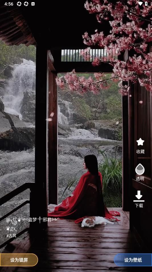 熊猫免费壁纸app安卓版图3: