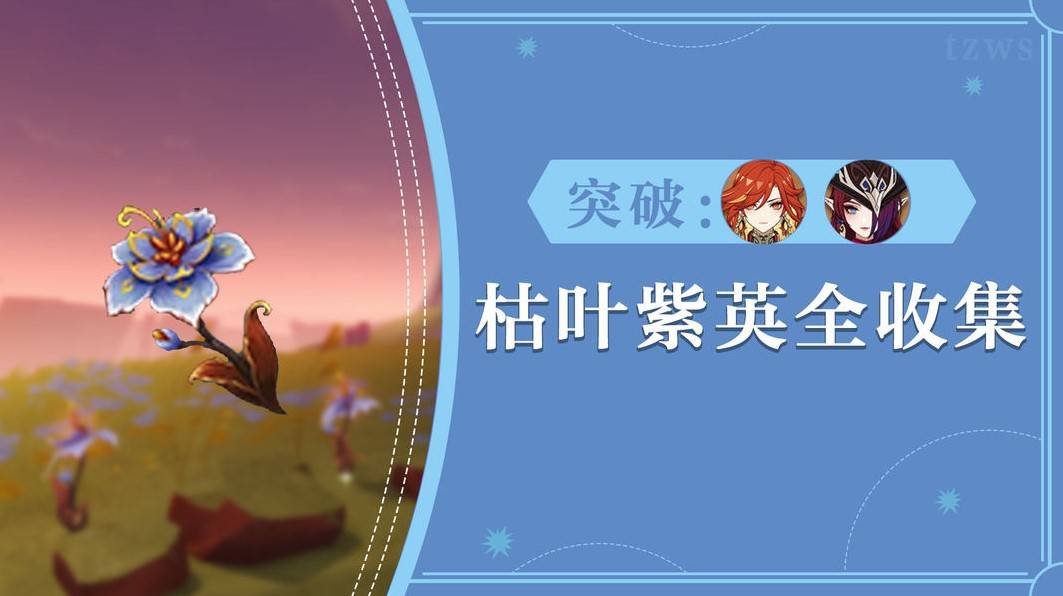 原神5.3枯叶紫英哪里采集 5.3玛薇卡培养材料最全采集路线图片1