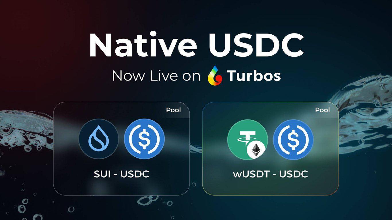 Turbos Finance是什么前景如何 Turbos Finance在2025年值不值得投资[多图]图片9